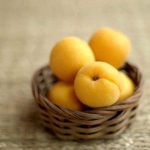 apricots