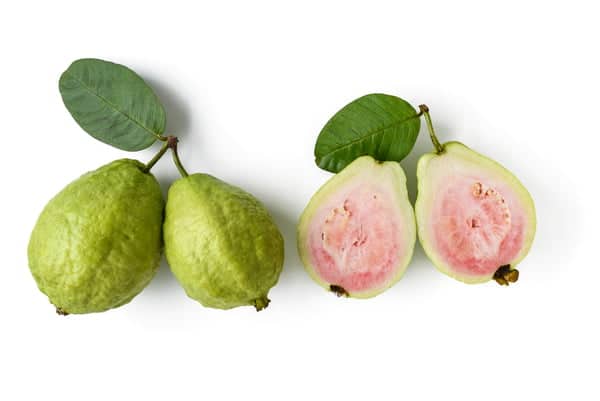 guava