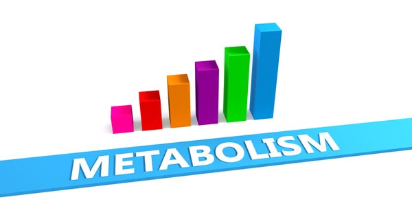 great-metabolism